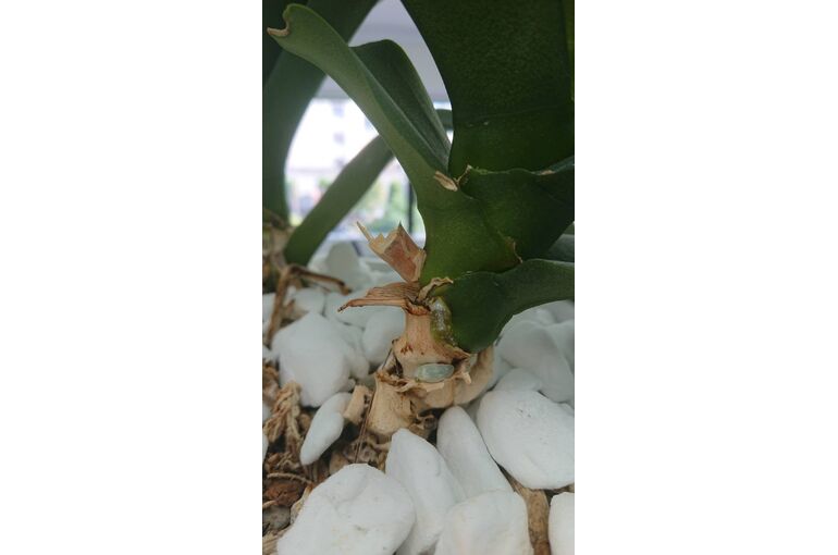 line_oa_chat_220519_143824